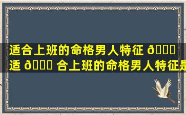 适合上班的命格男人特征 🐕 「适 🐋 合上班的命格男人特征是什么」
